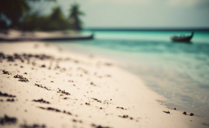 The History of the Zanzibar Slave Trade: Sites and Stories You Should Know