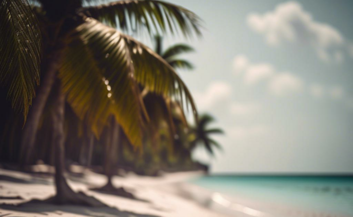 Diving into Adventure: The Best Snorkeling and Diving Spots Around Mnemba Island