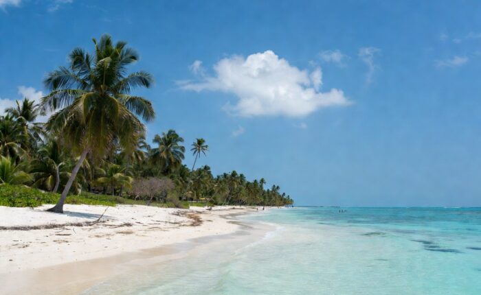Tropical Zanzibar beach with palm trees and turquoise water